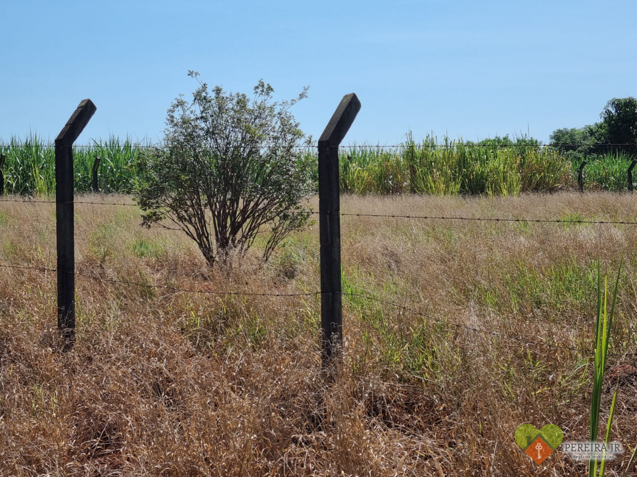 Terreno à venda, 2014m² - Foto 7