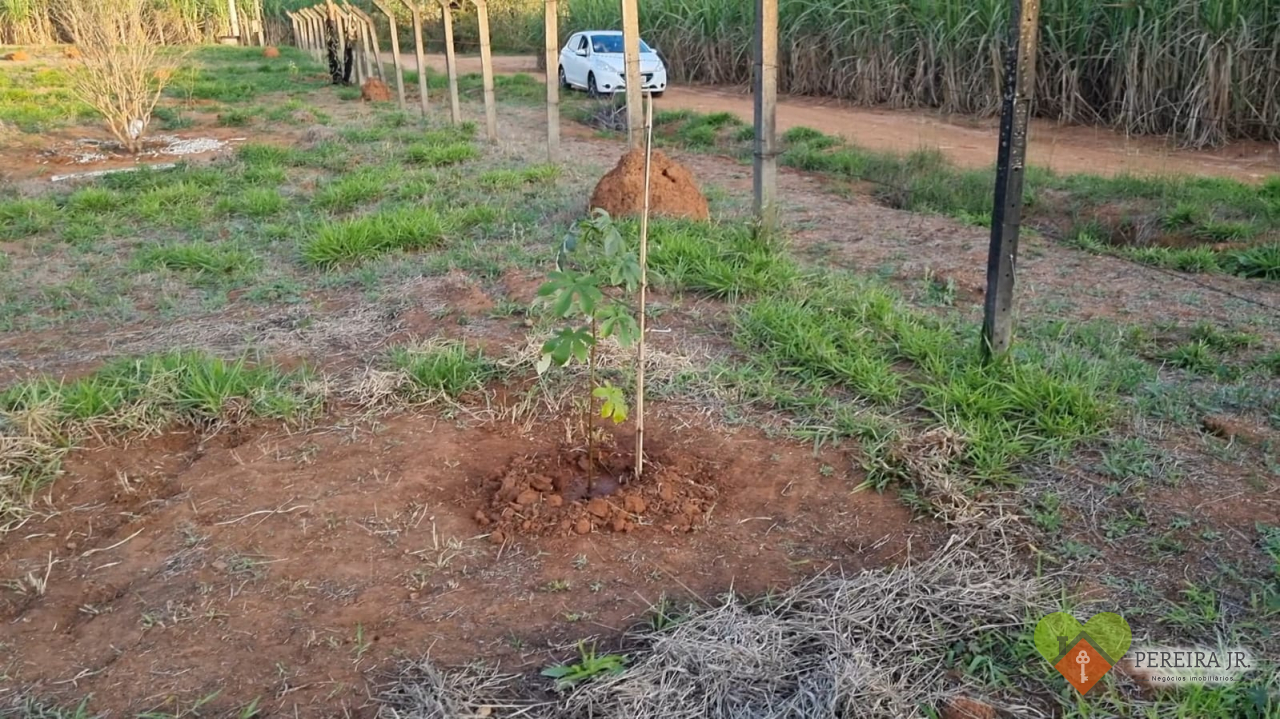 Terreno à venda, 2014m² - Foto 6